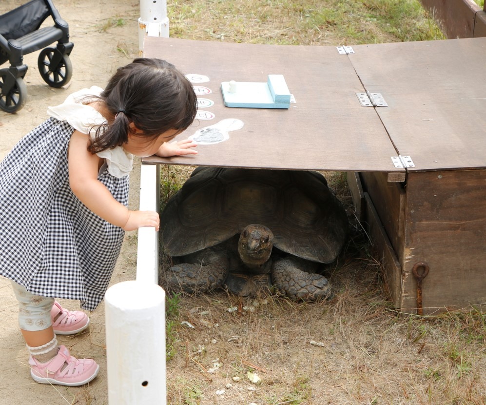 動物なかよし広場