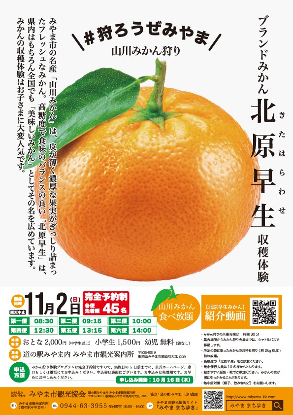 山川みかん狩り
