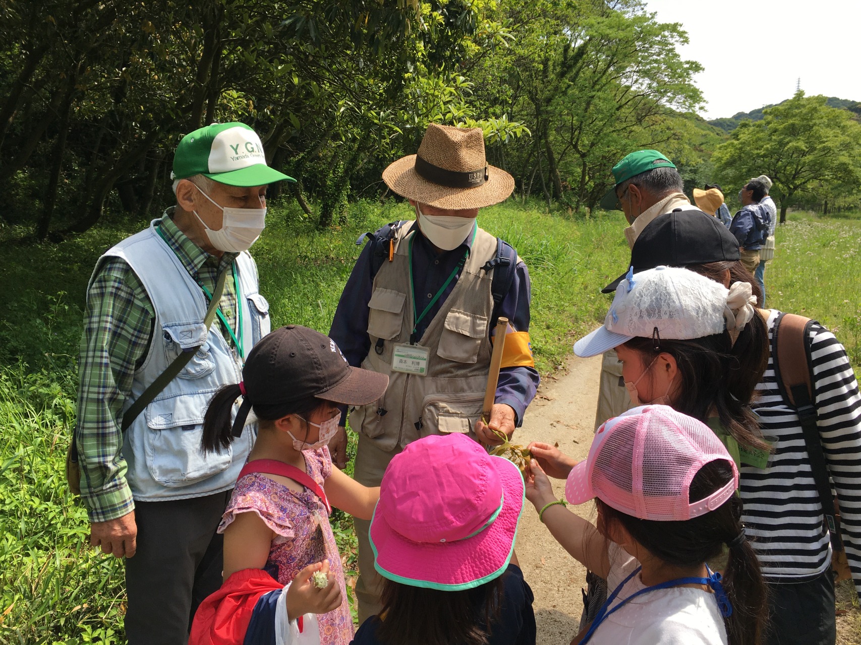 ガイドと一緒に山田緑地の自然や生きものを観察するイベントです